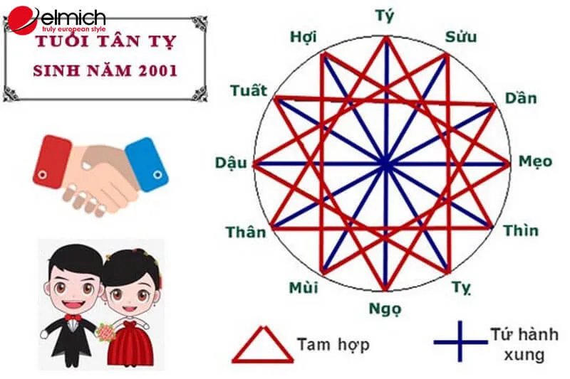 alt text: Biểu đồ thông tin về tuổi Tân Tỵ 2001