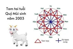 Sinh năm 2003 mệnh gì hợp màu gì