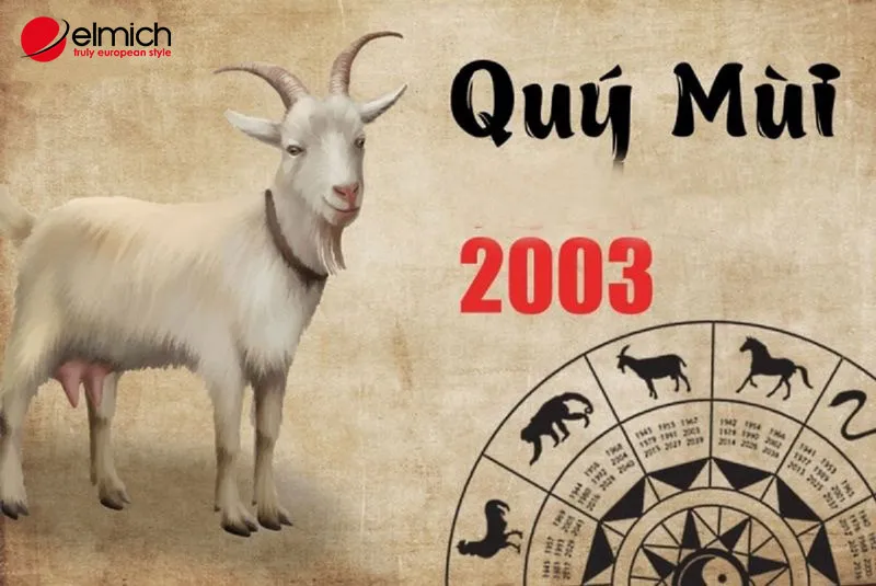 Alt: Nữ 2003 có tính cách năng động, nhiệt huyết