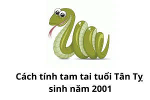 Cách tính tam tai