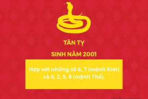 Con số may mắn