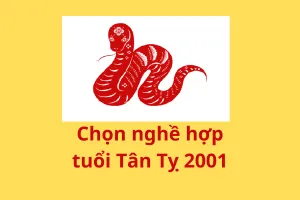 Nghề nghiệp phù hợp 2001