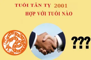 Tuổi hợp làm ăn 2001