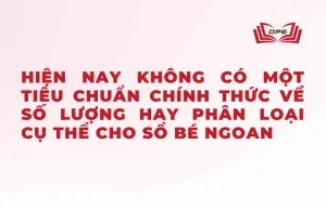 Hiện nay không có một tiêu chuẩn cụ thể nào để phân loại sổ bé ngoan