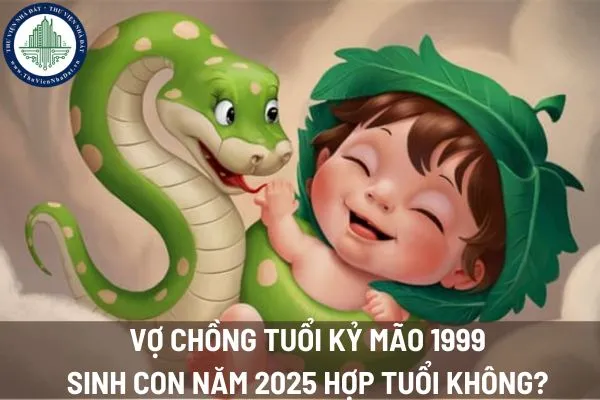 Vợ chồng tuổi Kỷ Mão 1999 sinh con năm 2025 có hợp không?