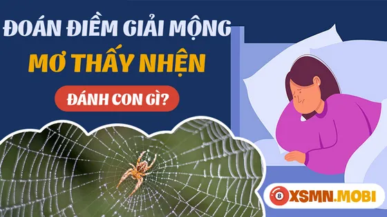 Những con số may mắn từ giấc mơ thấy nhện