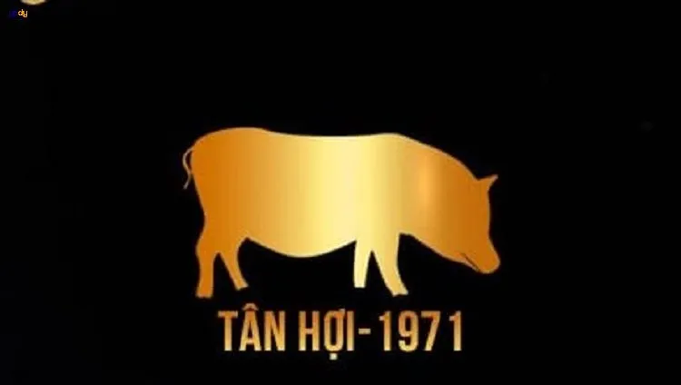 Sinh năm 1971 hợp tuổi gì?
