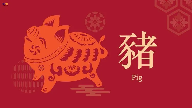 1971 bao nhiêu tuổi