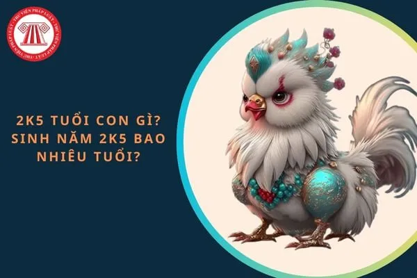Người sinh năm 2005 (k5) là 19 tuổi, tuổi Ất Dậu, mệnh Tuyển Trung Thủy