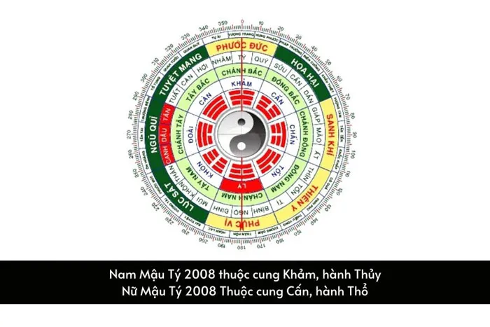 Sự khác biệt về cung mệnh giữa nam và nữ sinh năm Mậu Tý 2008
