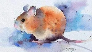 Con số mang lại may mắn cho người tuổi Mậu Tý