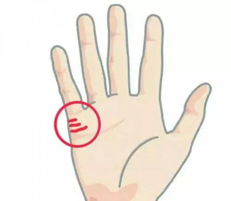 Bàn tay với nhiều đường hôn nhân phức tạp