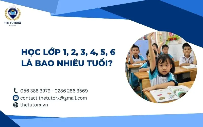 Các em học sinh tiểu học đang tìm hiểu lớp 4 là mấy tuổi và các quy định về độ tuổi đi học.