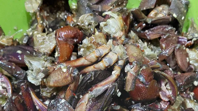 Món ba khía trộn tỏi ớt đậm đà hương vị miền Tây đã hoàn thành