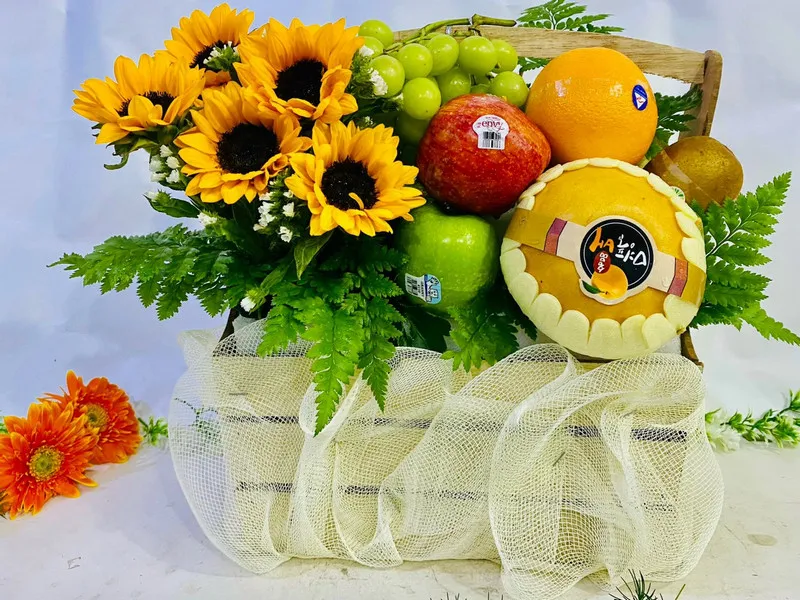 Hình ảnh biểu tượng cho nguồn gốc và ý nghĩa sâu xa của tiết khí trong văn hóa phương Đông