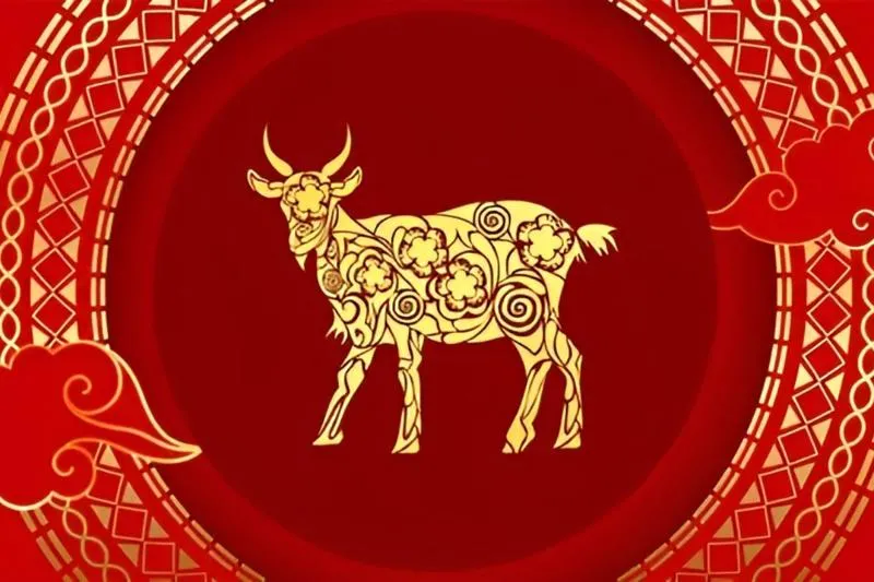 Biểu đồ tương hợp và tương khắc giữa tuổi Mùi với các con giáp khác