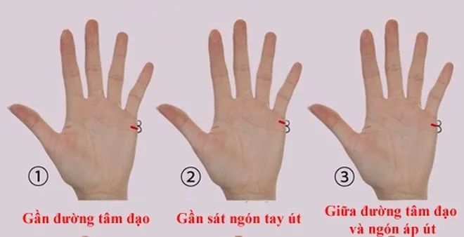 Đường chỉ tay hôn nhân ở nam giới và dự báo vận mệnh