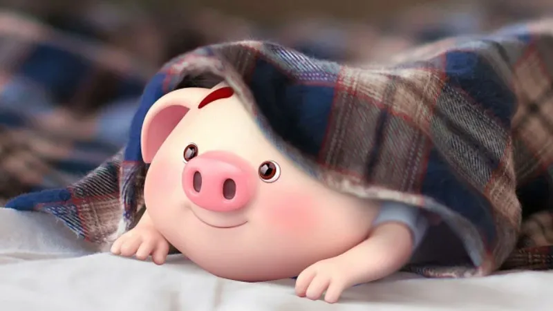 Lộ trình học tập và tuổi tương ứng của người sinh năm 2007