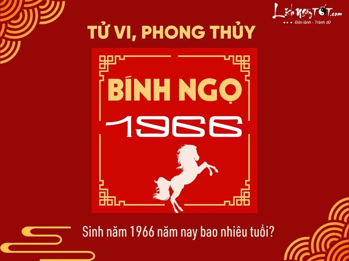 Hình ảnh người sinh năm 1966 Bính Ngọ trong năm 2024