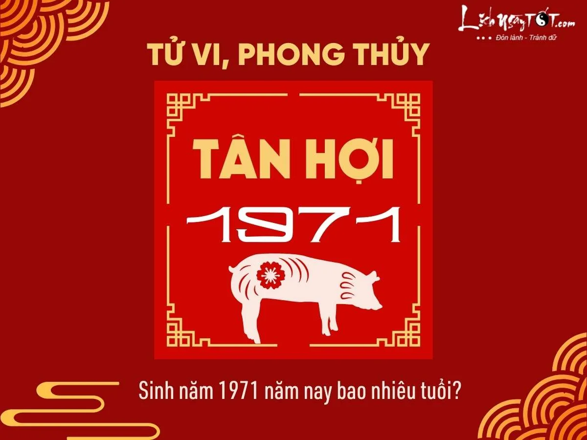 Người sinh năm Tân Hợi 1971 và tuổi hiện tại của họ trong năm 2024