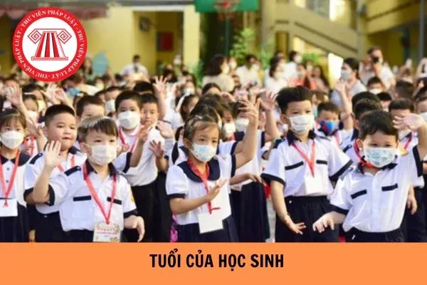 Bảng tổng hợp độ tuổi và năm sinh tương ứng của học sinh các cấp theo quy định pháp luật