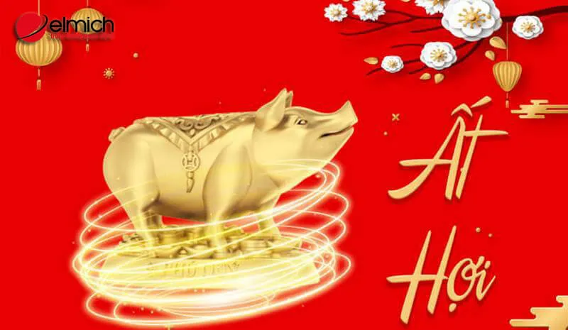 Thông tin cơ bản về cô dâu tuổi Ất Hợi 1995, mệnh Hỏa