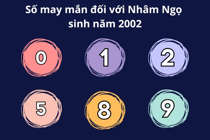 số may mắn của nhâm ngọ 2002