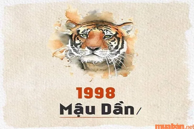 Tổng quan về nam Mậu Dần 1998