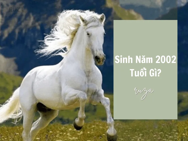 2002 tuổi Nhâm Ngọ