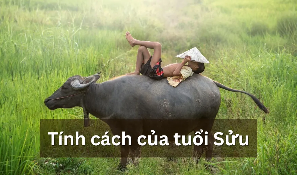 Tính cách của người tuổi Kỷ Sửu