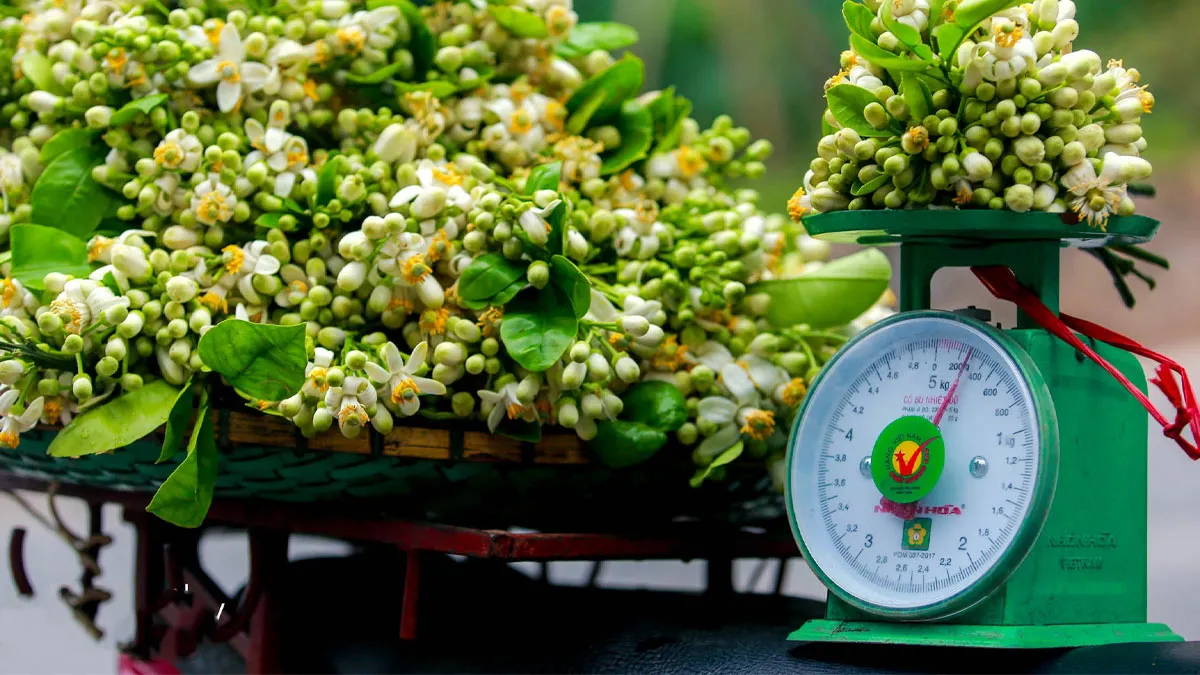 Một lạng tương đương với 100g, thường dùng trong mua bán truyền thống