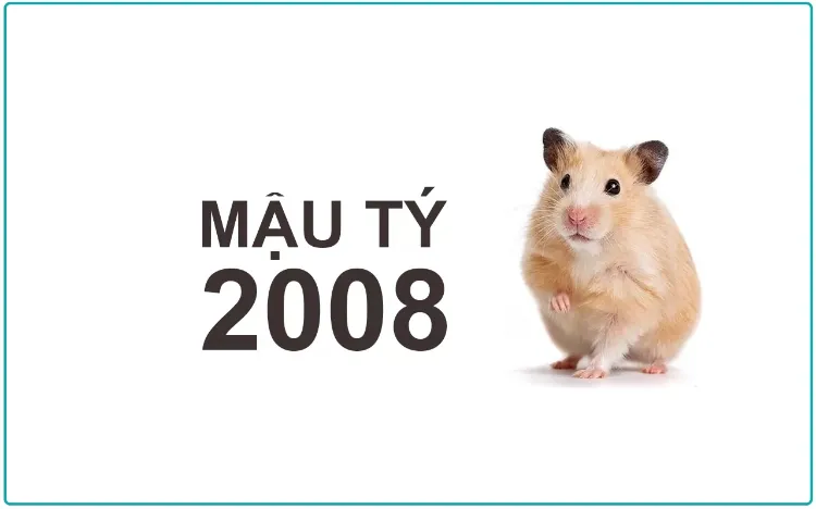 Người sinh năm 2008 năm nay bao nhiêu tuổi và thuộc con giáp nào