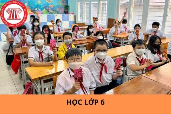 Độ tuổi học sinh trung học cơ sở khi vào lớp 6