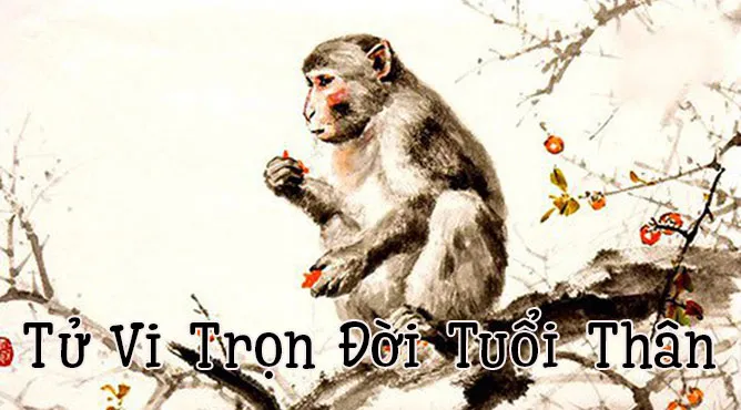 Tử vi trọn đời tuổi Thân