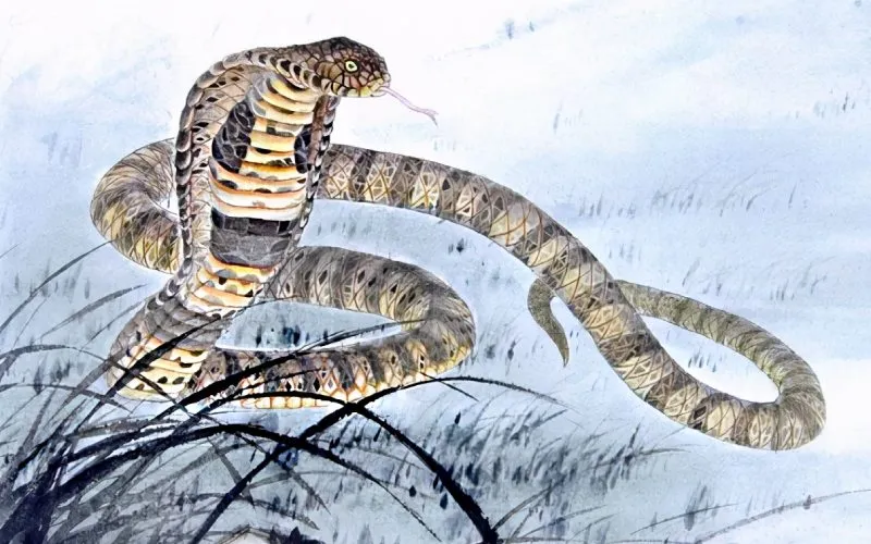 Người tuổi Tỵ phù hợp với các công việc đòi hỏi tư duy logic và khả năng giải quyết vấn đề