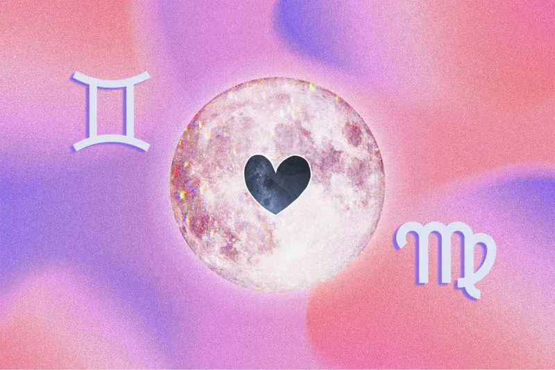 Sự nghiệp của cung tháng 8: Sư Tử năng động